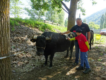 Die Stiftung erfüllt Herzenswünsche von kranken und behinderten Kindern