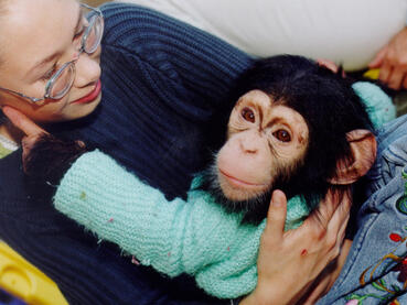 Als wäre es erst gestern gewesen: Die erste Wunscherfüllung der Stiftung Wunderlampe vor 20 Jahren, als die grosse Tierfreundin Esther im Schwabenpark einem kleinen Schimpansen begegnen durfte.
